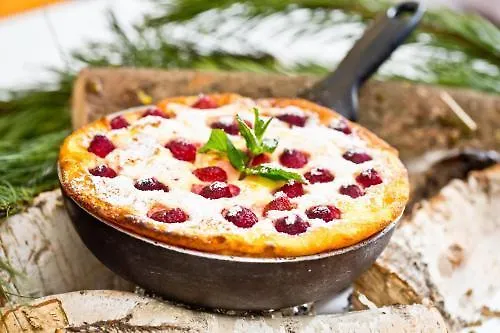 فندق فرايسنغر هوف ميونيخ